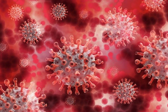new strain of coronavirus