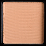 Beetle Shell - Product Image