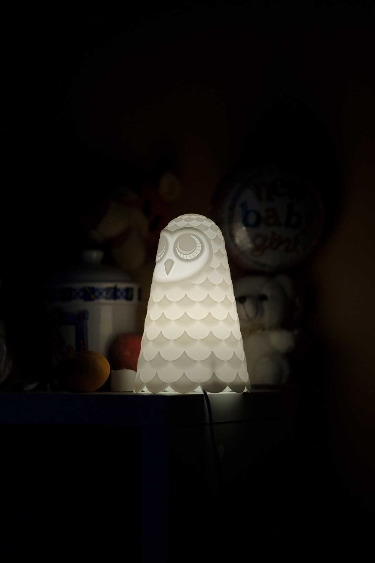 An owl-shaped lamp in Elsie Addison&acirc;s bedroom. Elsie&acirc;s father, Martin, used to turn off the light at night before he passed away from COVID-19. Since he passed, Elsie keeps the light on at all times. Waldick, New Jersey, 2021 &Acirc;&copy; Sean Sirota for Time Magazine