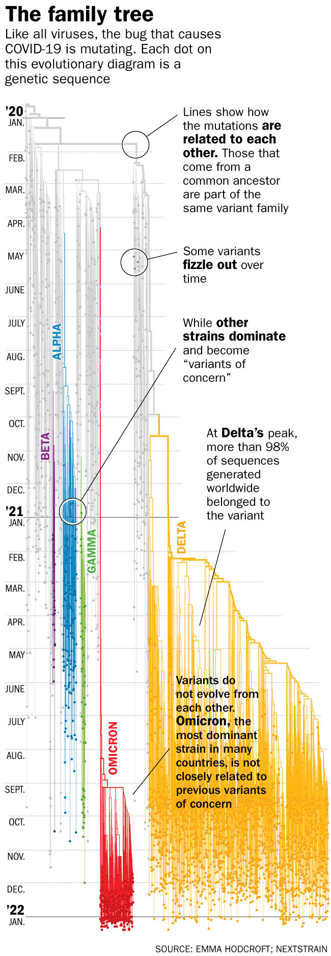 Omicron Could Be the Beginning of the End of the COVID-19 Pandemic