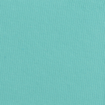 Icy Blue F U - Product Image
