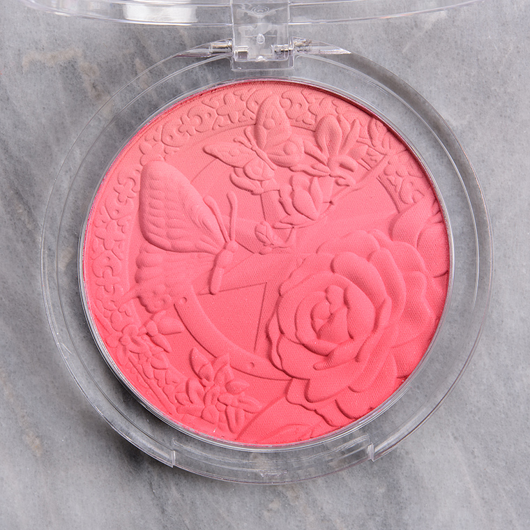 Moira Bella Pink Signature Ombre Blush