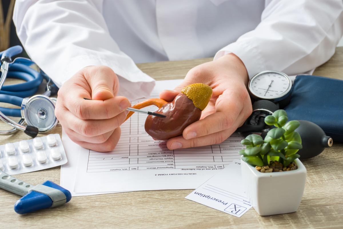 At doctors appointment physician shows to patient shape of kidney with focus on hand with organ. Scene explaining patient causes and localization of diseases of kidney, stones, adrenal, urinary system - Image