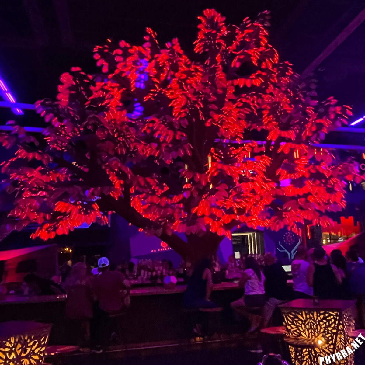 Rainbow tree inside Meow Wolf