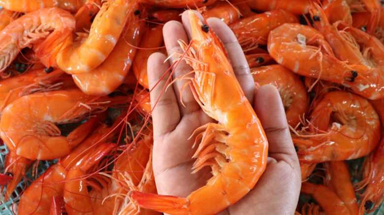 8 Reasons Red Lobster's Seafood Is So Cheap—Including Lots of Frozen Shortcuts
