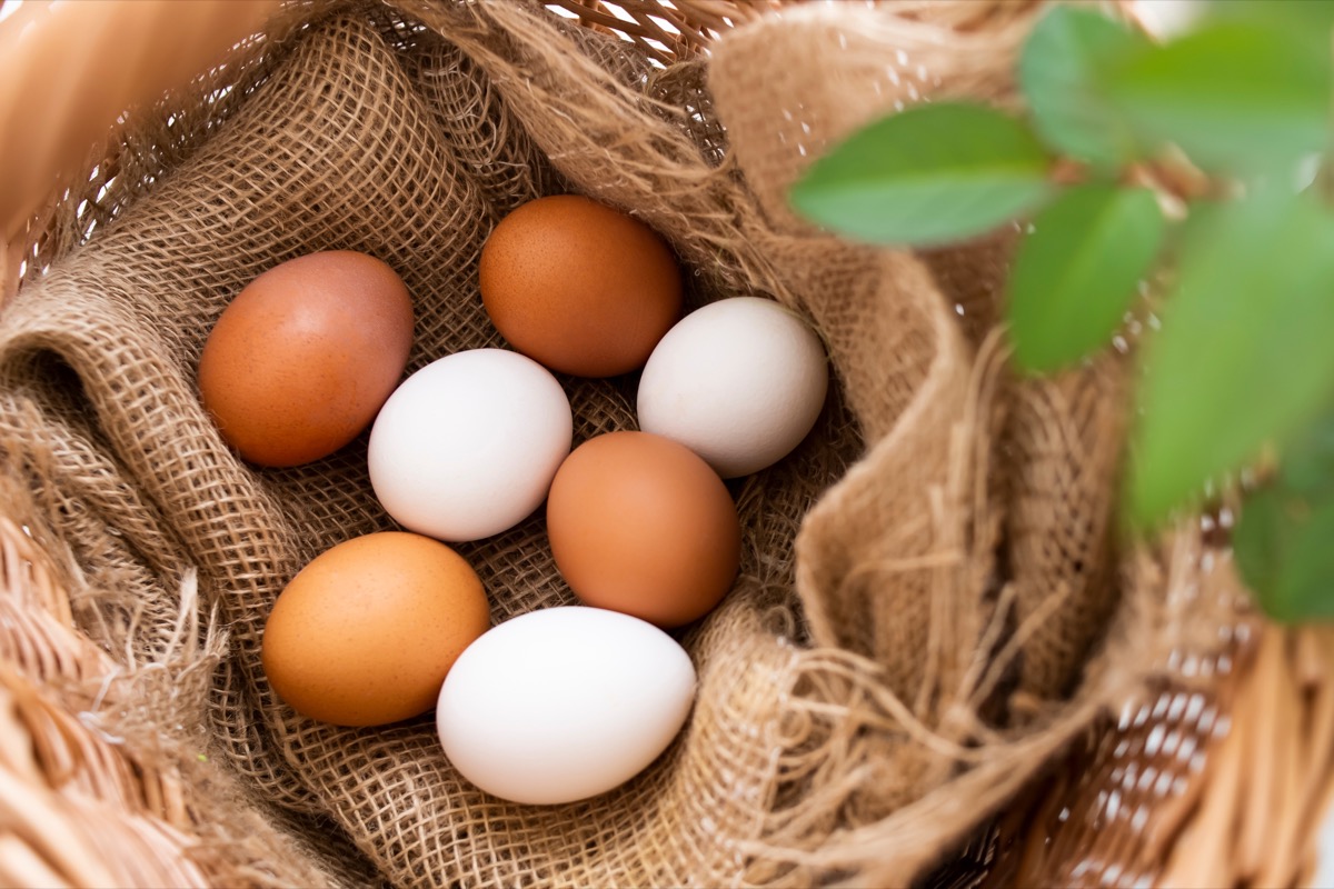 The Deadliest Bird Flu Outbreak in History is Now in America. Here's How to Stay Safe.