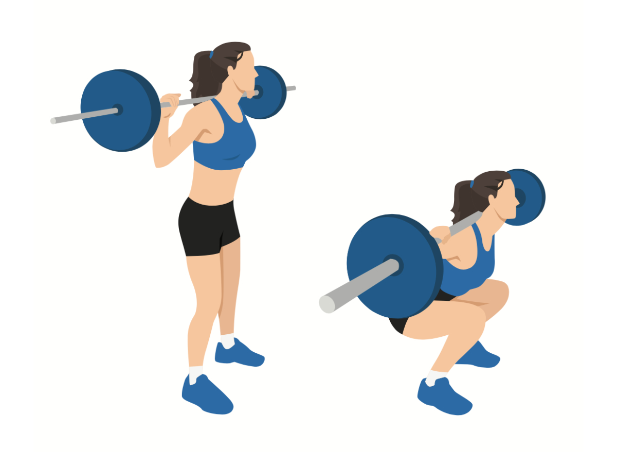 illustration of barbell back squat to get rid of underarm fat
