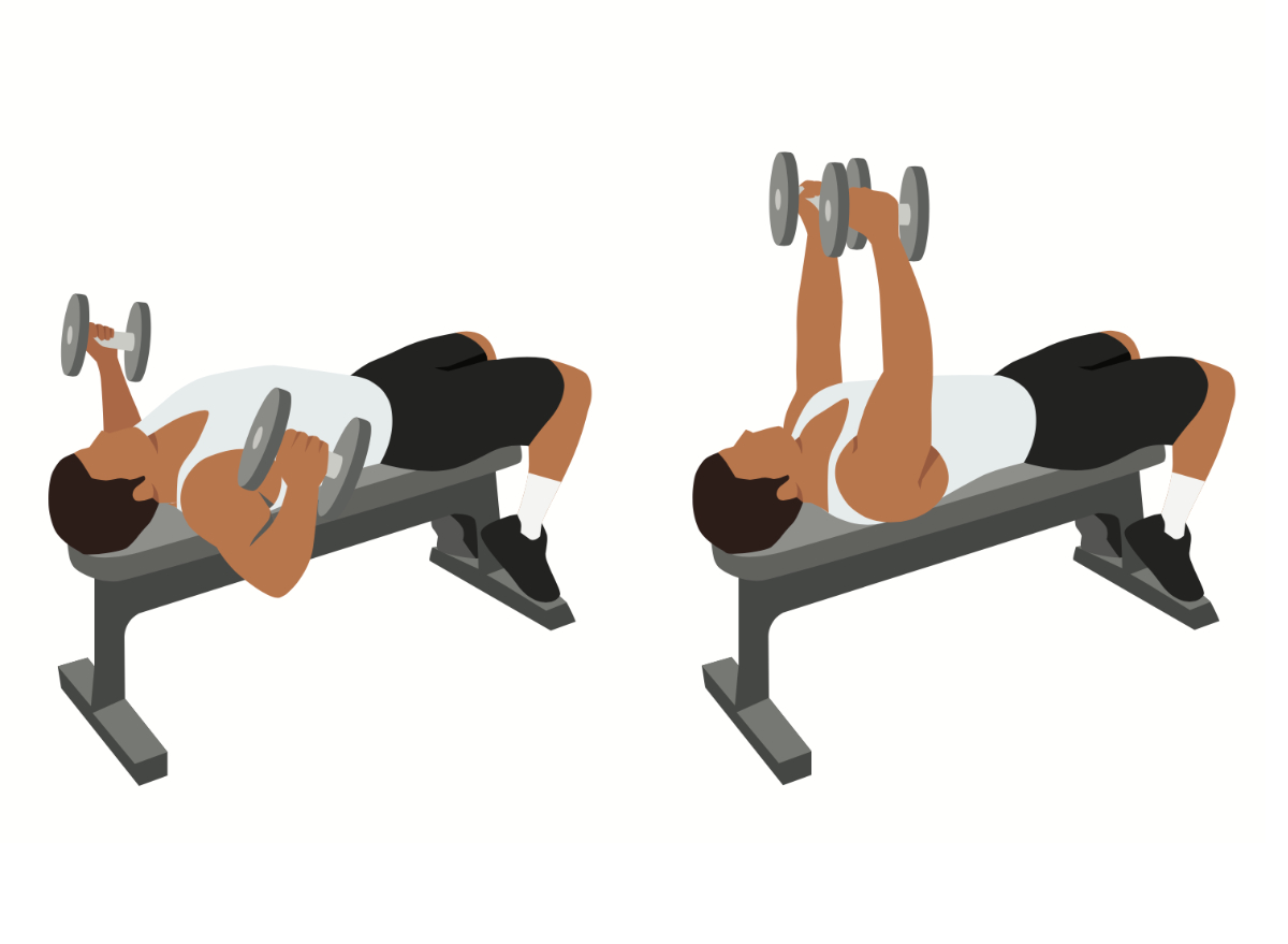 illustration of dumbbell chest flye