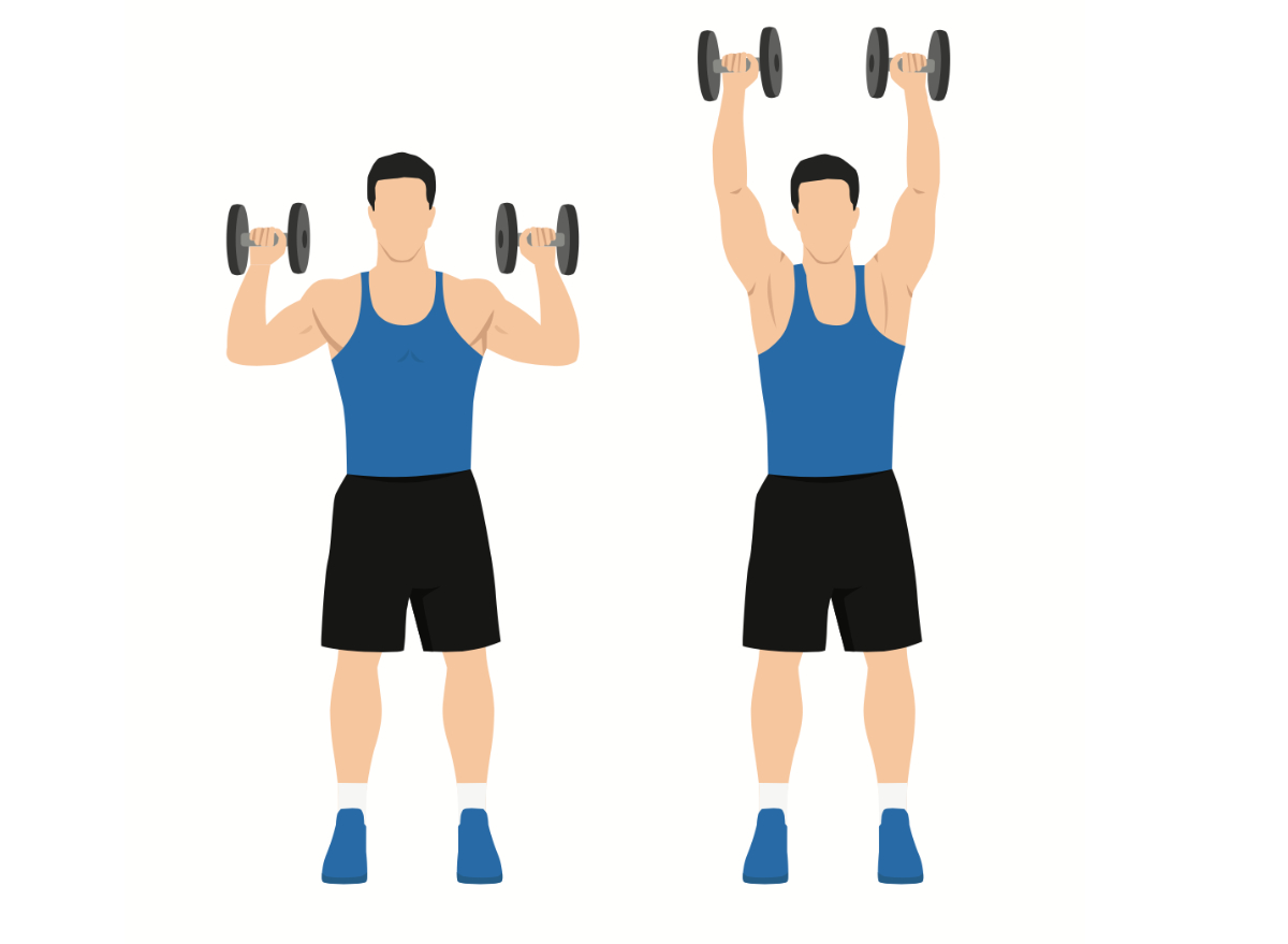 dumbbell overhead press exercise