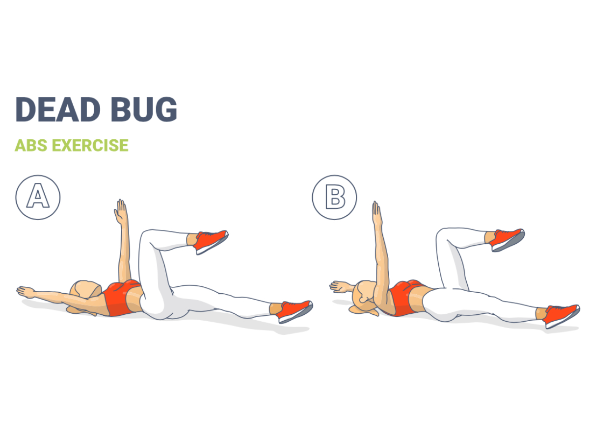 illustration of dead bug exercise
