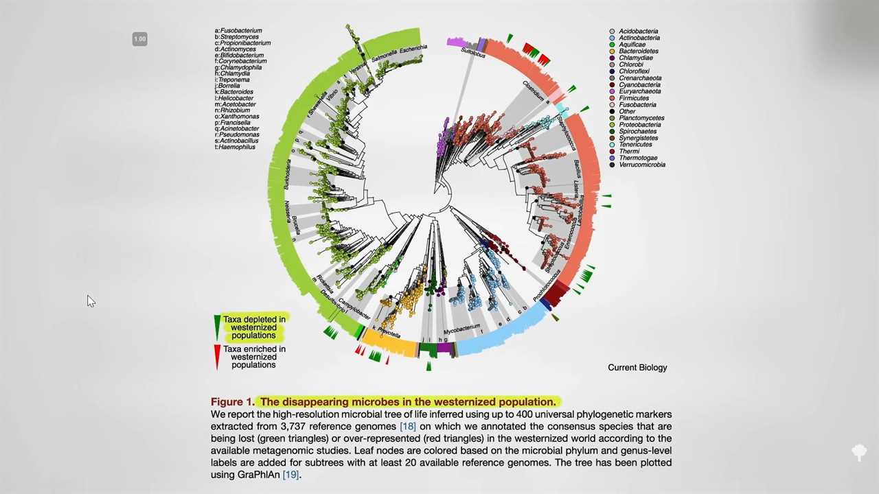 microbiome depletion