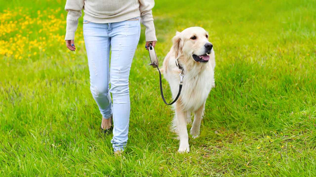 woman walking dog