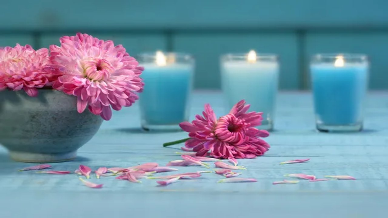 holistic health practitioner degree
