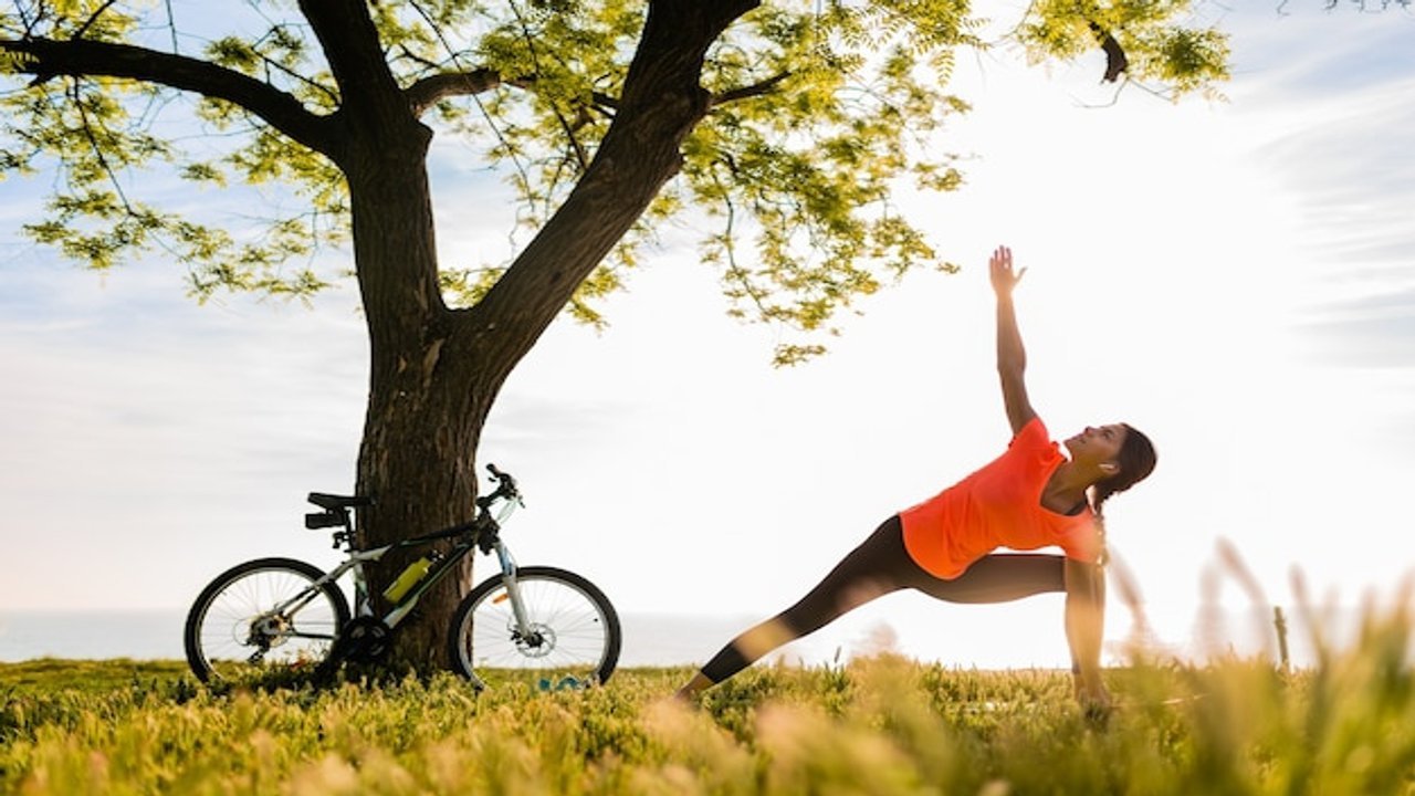 lifestyle medicine residency curriculum login