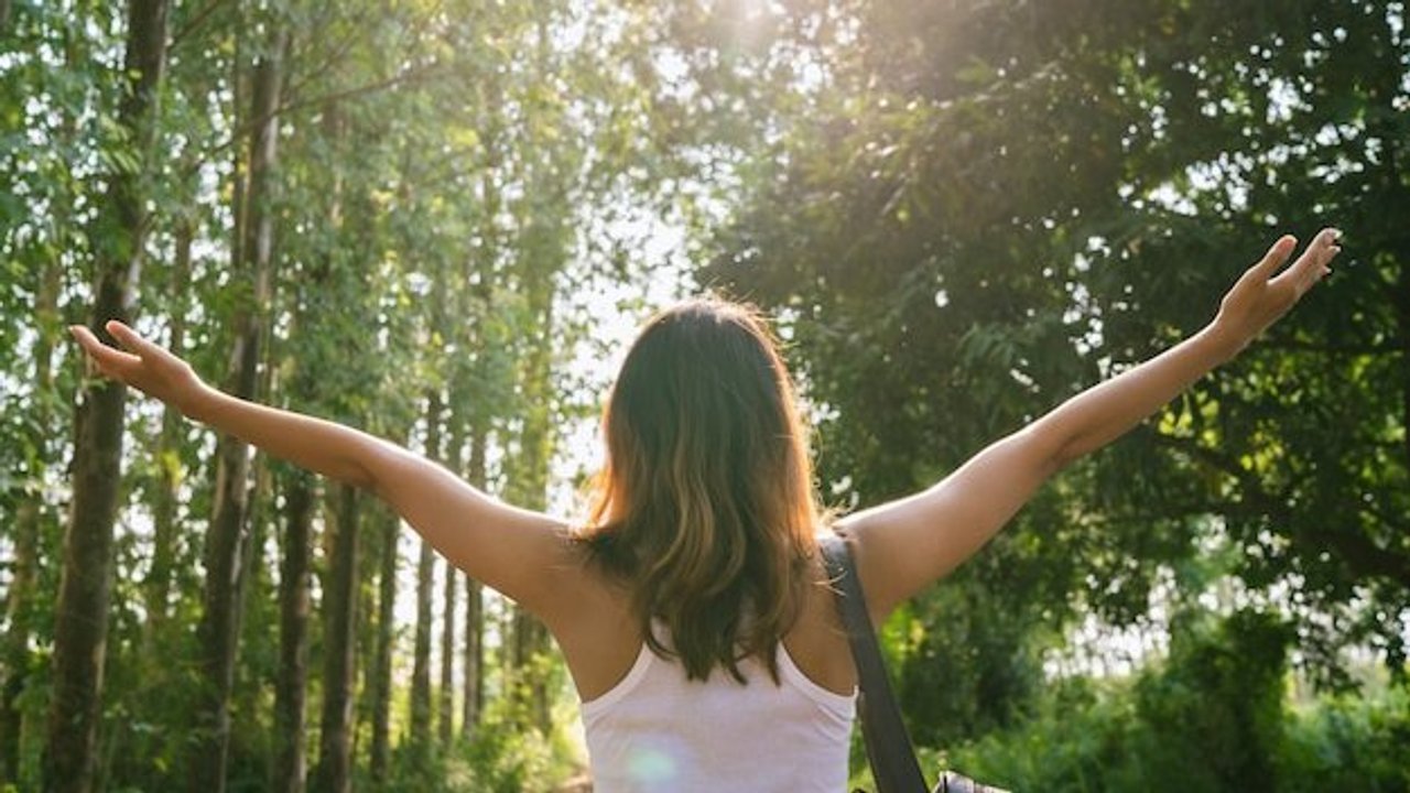 holistic health practitioner degree ohio