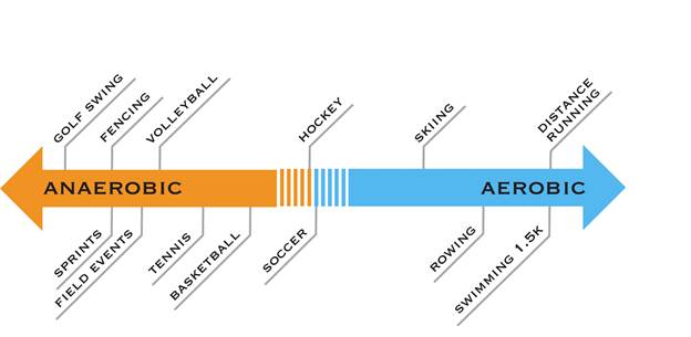 “Conditioning” Your Body: What You Need to Know – The Essentials