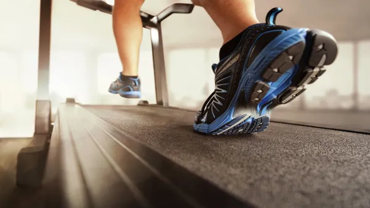 fitness training online program