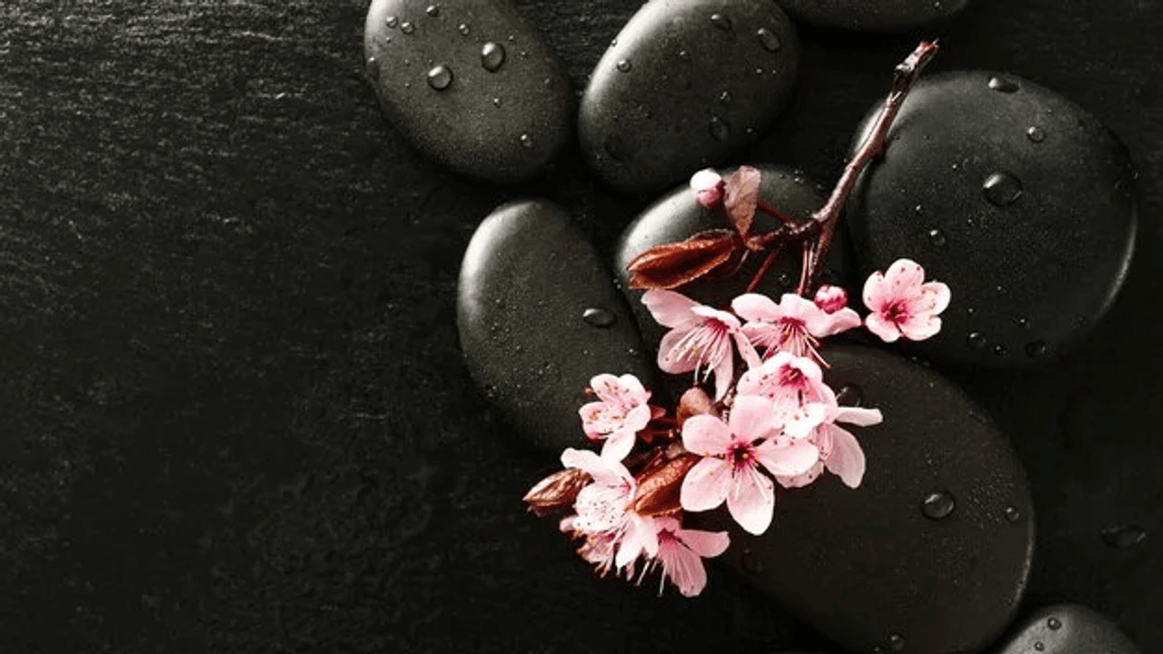 holistic cultural & education wellness center