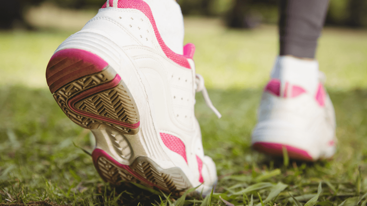 fitness programs for seniors near me