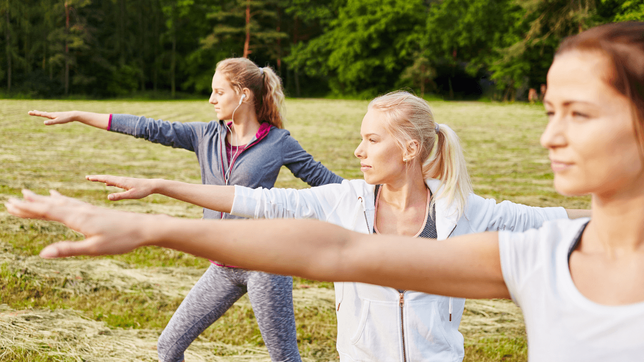 holistic wellness programs