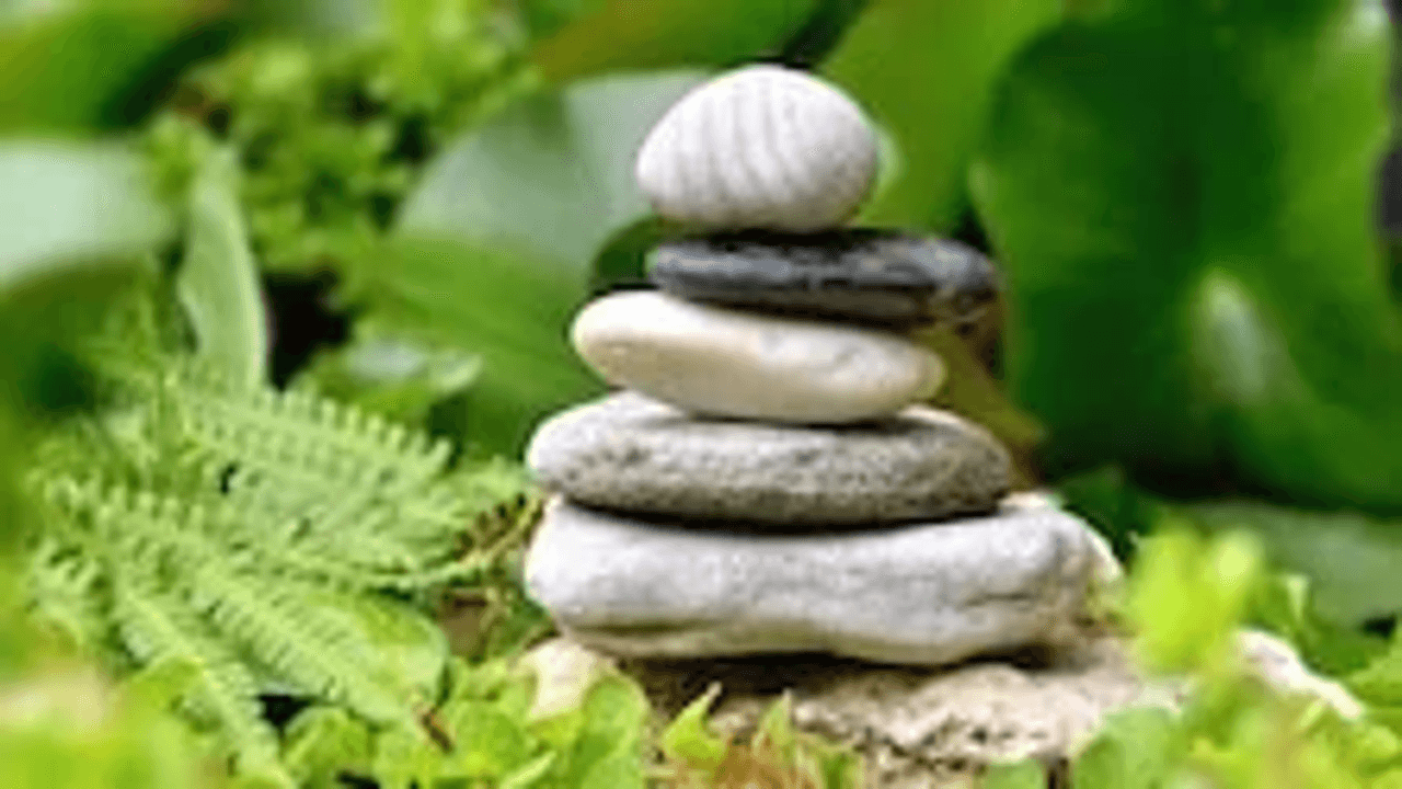 life balance counseling twin falls