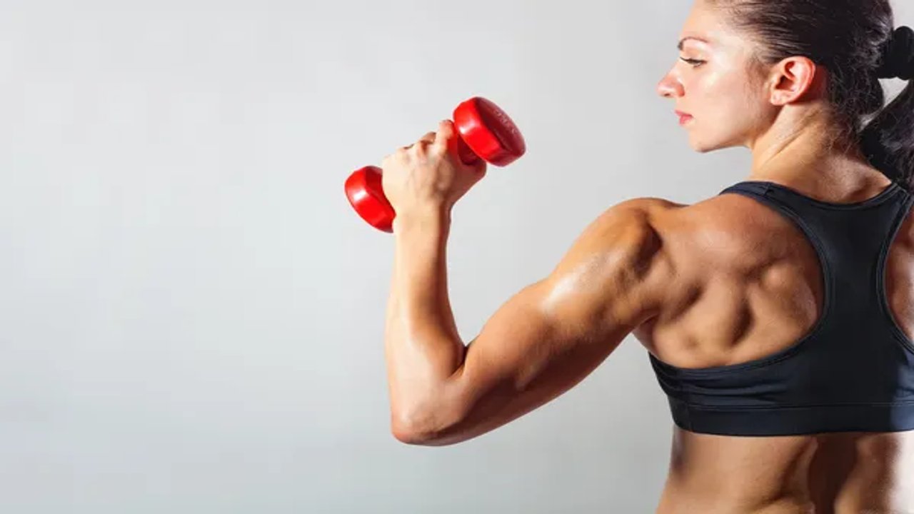 free fitness programs near me