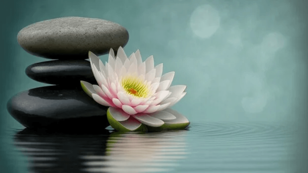 stress management seminar objectives