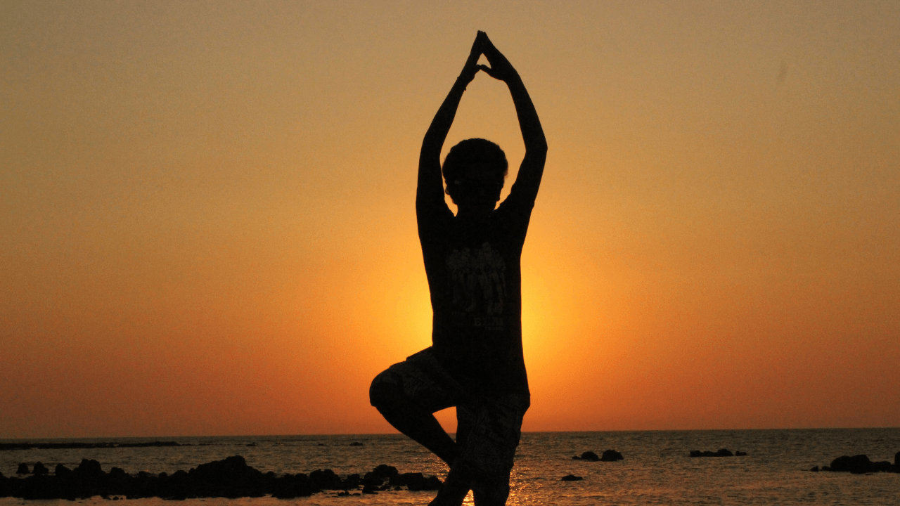 integrative wellness coach certification