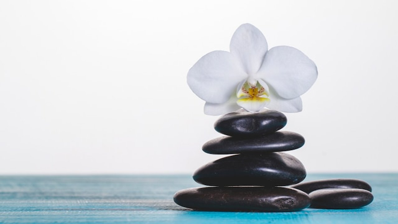 lifestyle medicine conference 2023