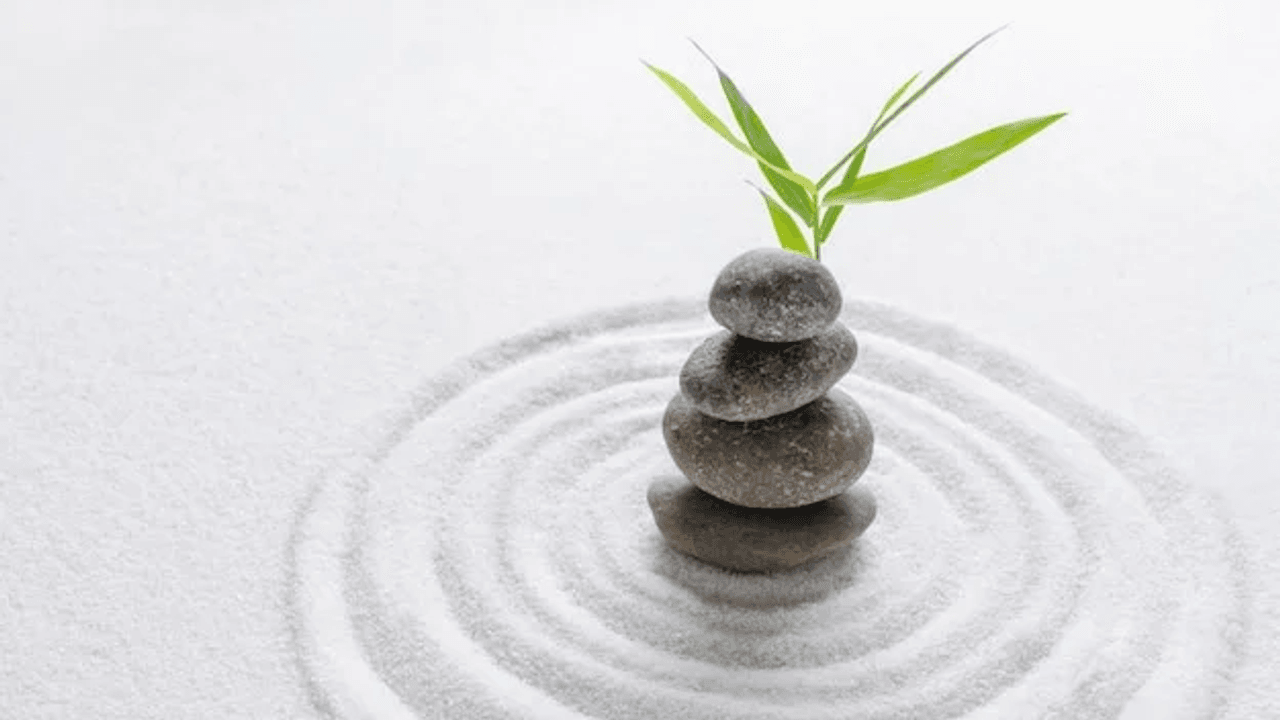 mindfulness definition jon kabat