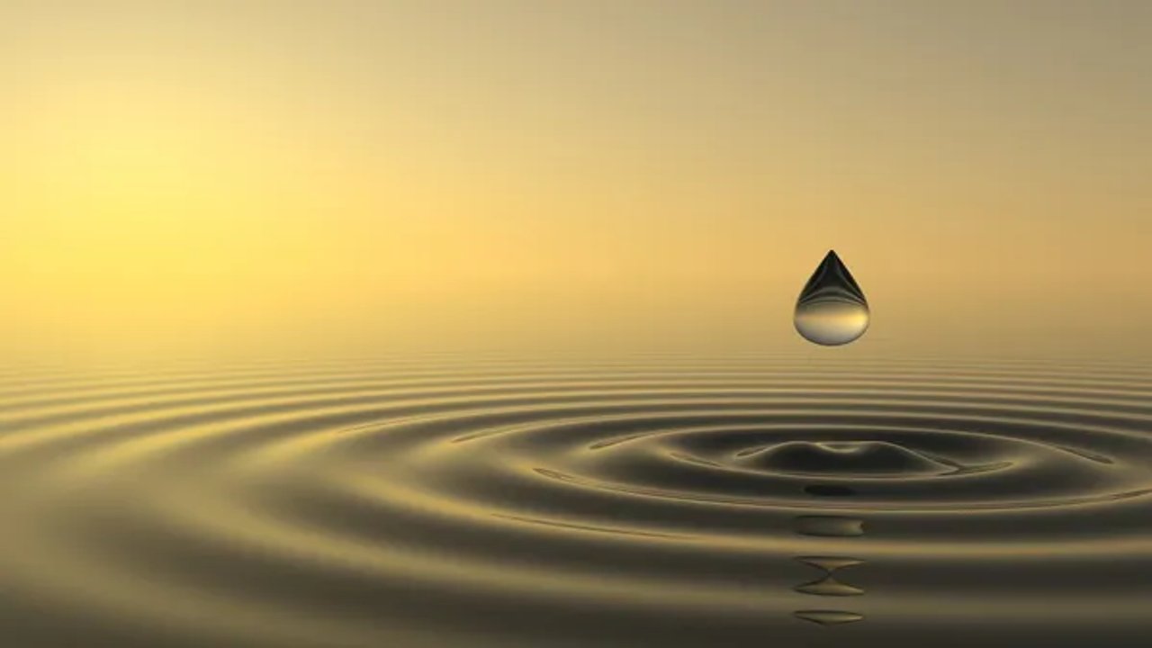 holistic wellness programs for business