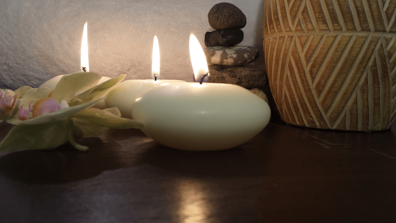wellness living software
