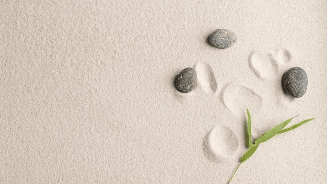 stress management ppt