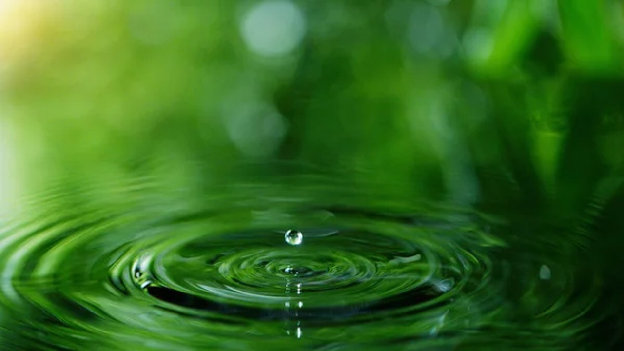holistic health coaching near me