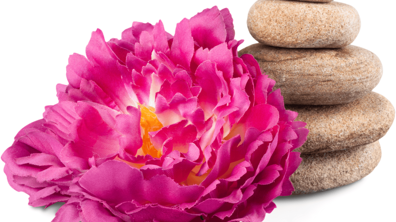 emotional wellness journal