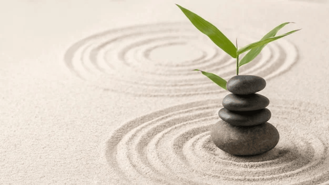 wellnessliving.com