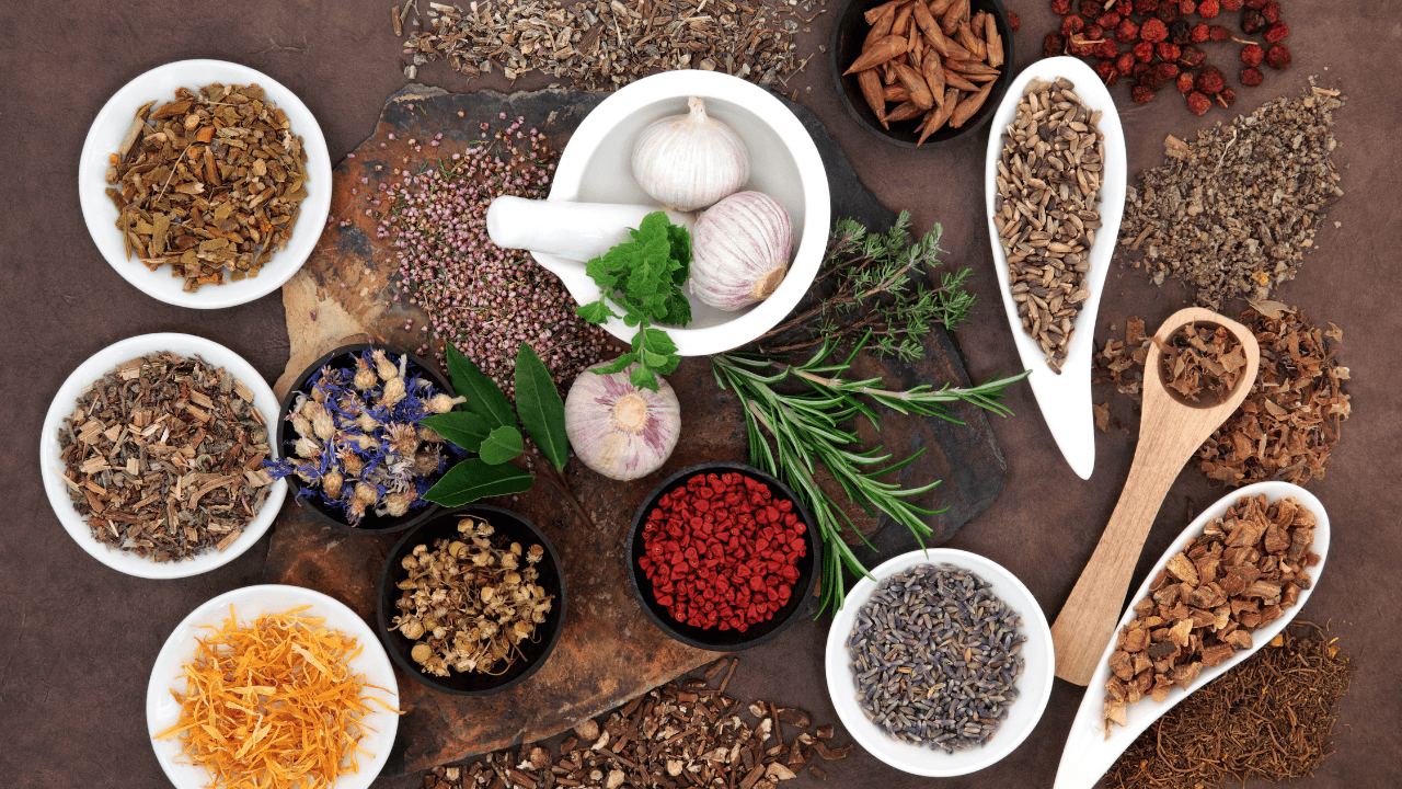 Holistic wellness