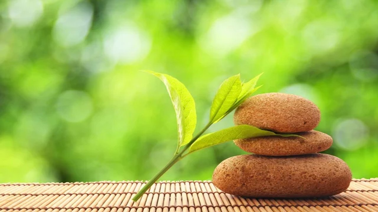 integrative wellness academy