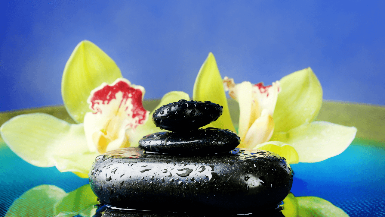 holistic health coaching jobs