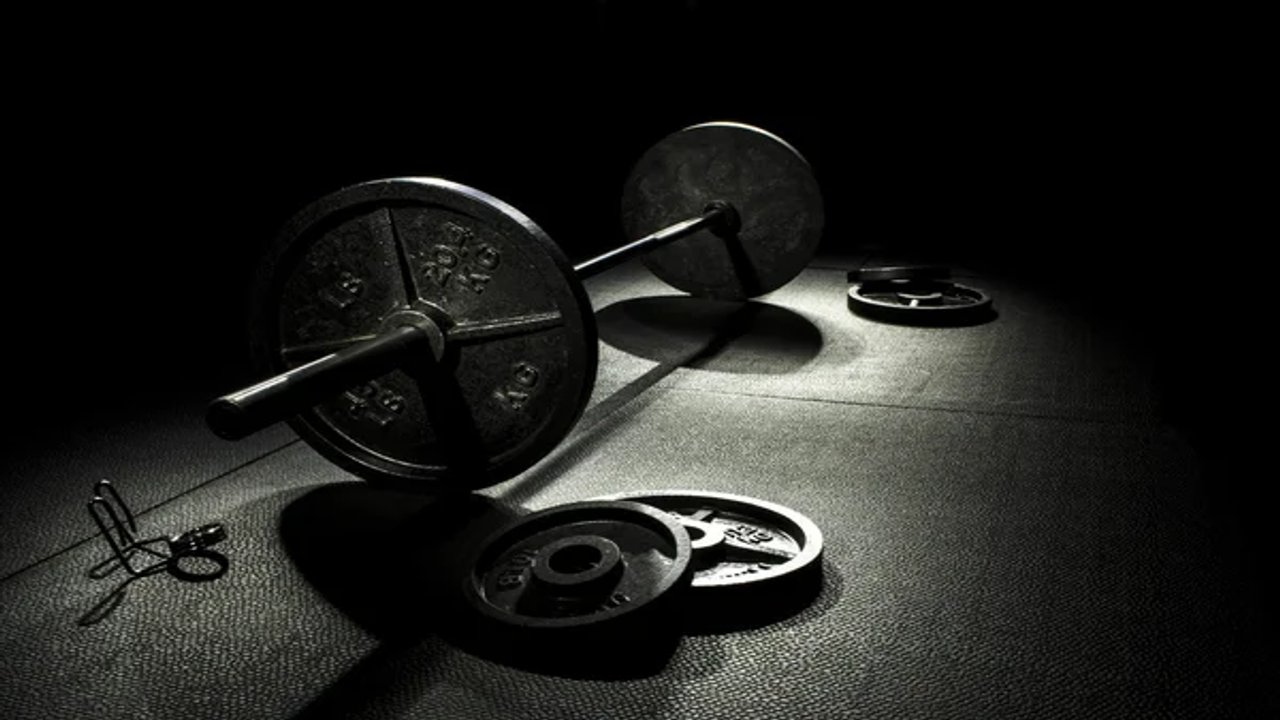 fitness palm bay