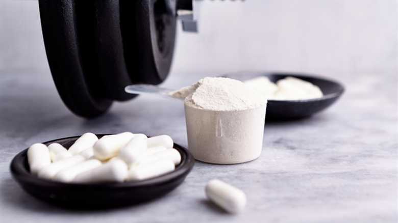 The Ultimate Guide to Creatine for Women: Safe and Effective?