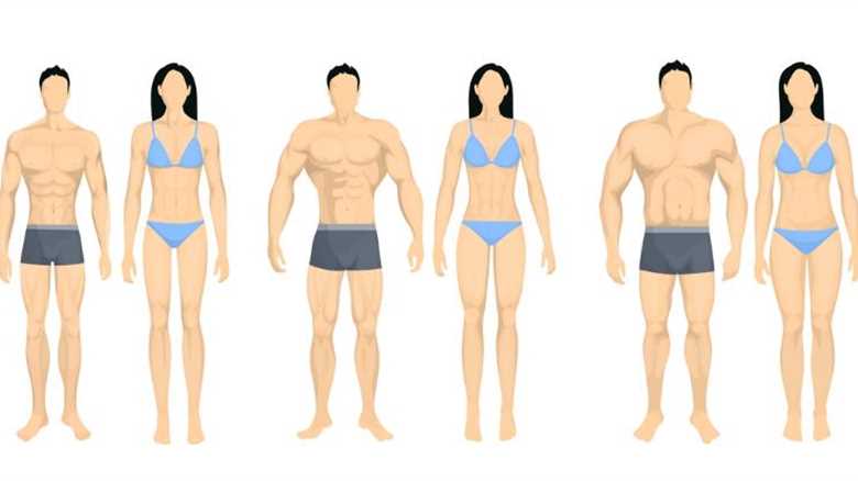 Debunking the Myth: The Truth About Body Types and Fitness