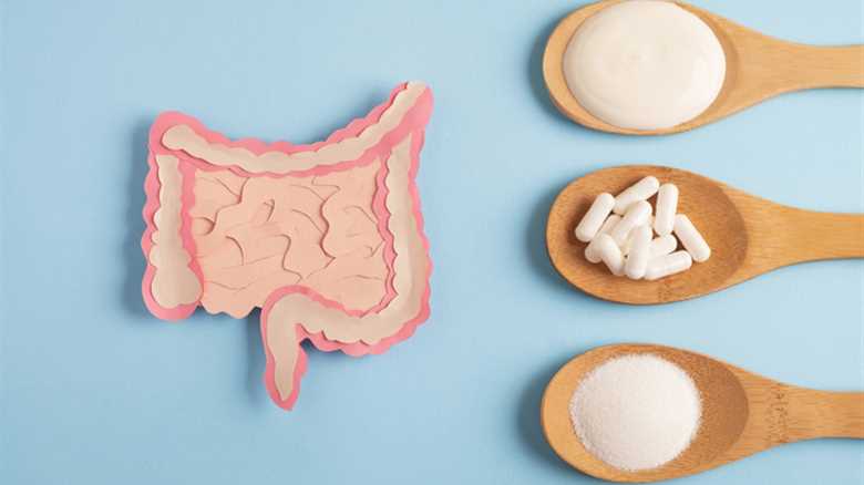 Unlocking Health: The Power of Probiotics in Everyday Foods