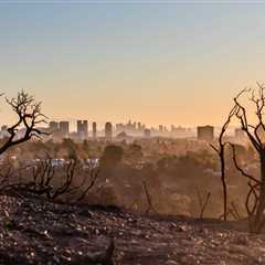 Guarding Our Health: Shielding Skin and Hair from Wildfire Havoc