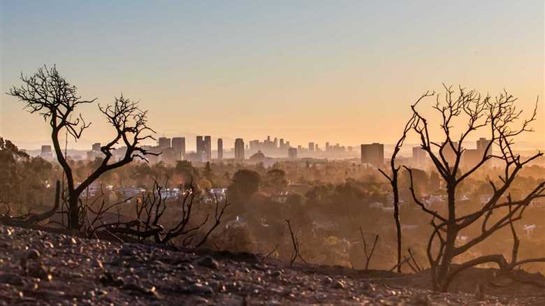 Guarding Our Health: Shielding Skin and Hair from Wildfire Havoc